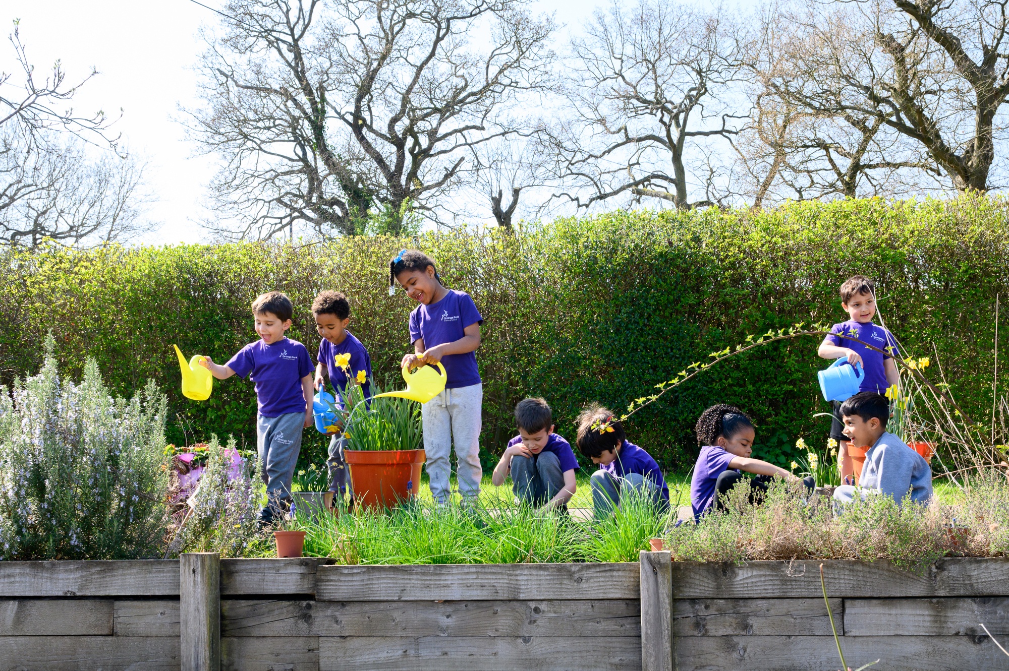 Allotments
